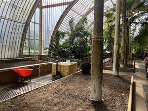Palm House